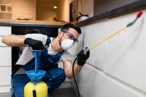 Professional Pest Control in Lemmon, SD