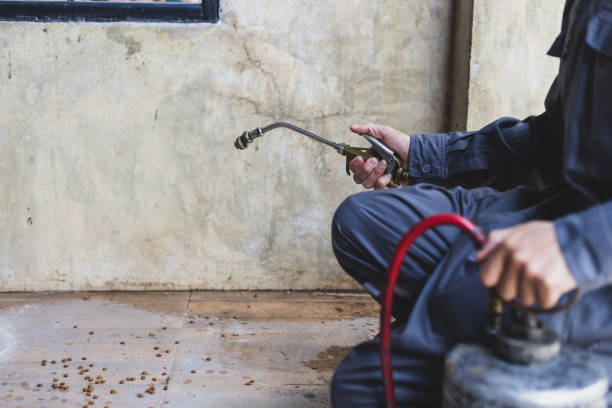 Best Affordable Pest Control Services  in Lemmon, SD